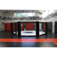 Восьмиугольный ринг Октагон SportPanda